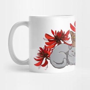 two cats and  australian coral tree Mug